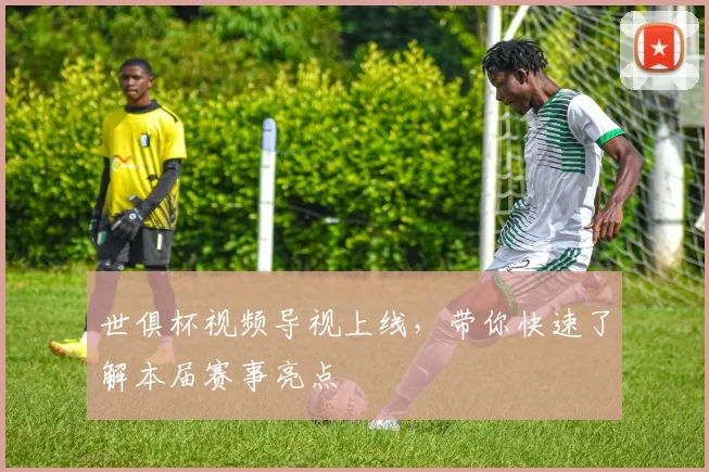 世俱杯视频导视上线，带你快速了解本届赛事亮点